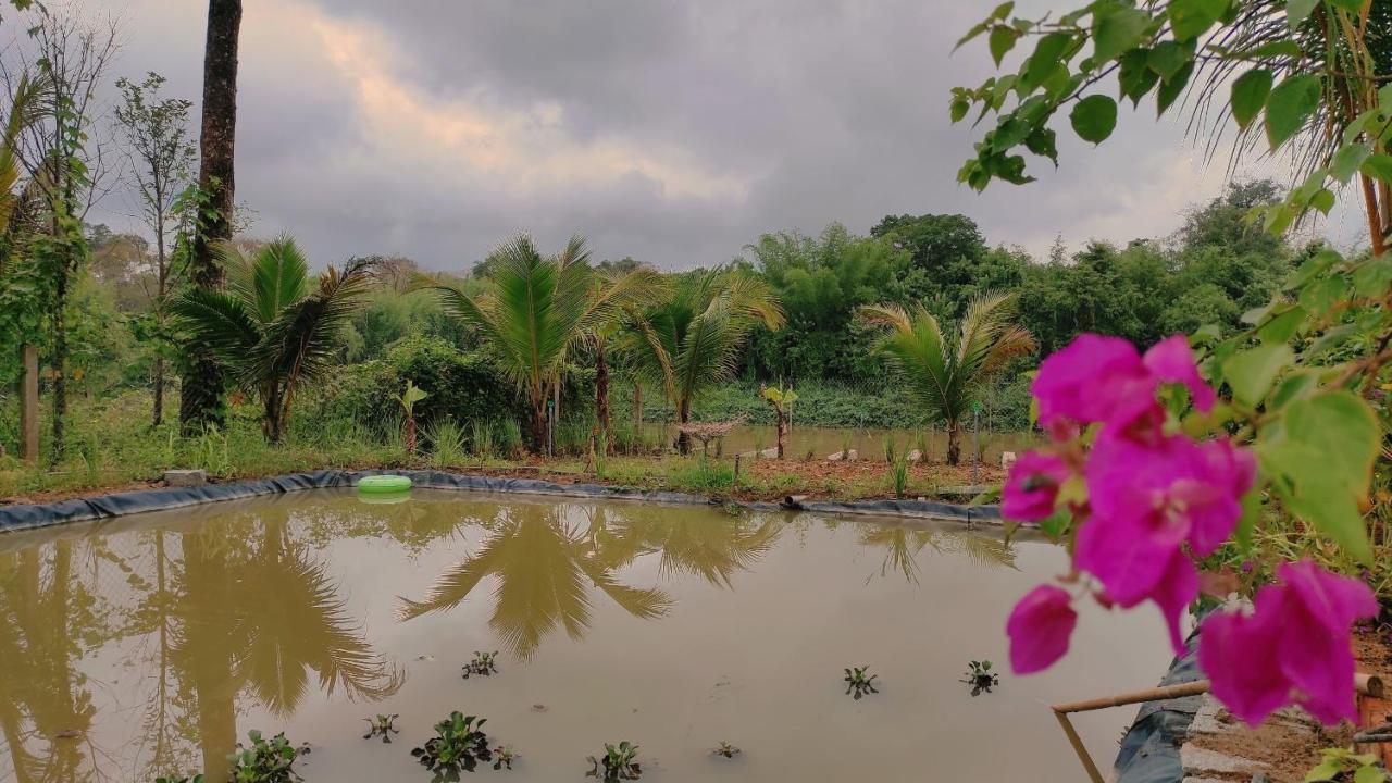 Homestay Dat Viet Cát Tiên Dış mekan fotoğraf