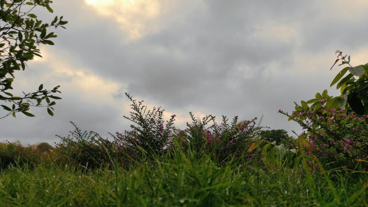 Homestay Dat Viet Cát Tiên Dış mekan fotoğraf